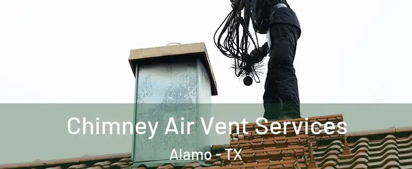  Chimney Air Vent Services Alamo - TX