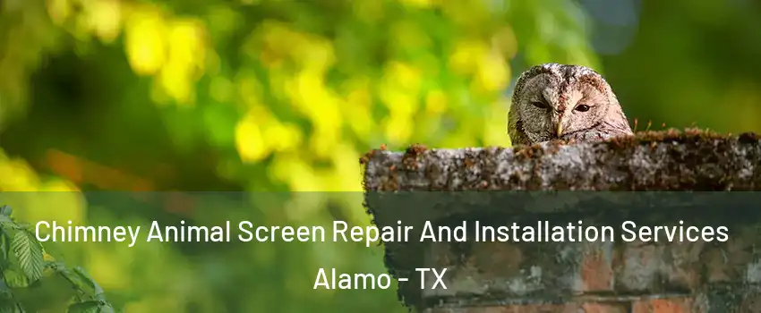  Chimney Animal Screen Repair And Installation Services Alamo - TX