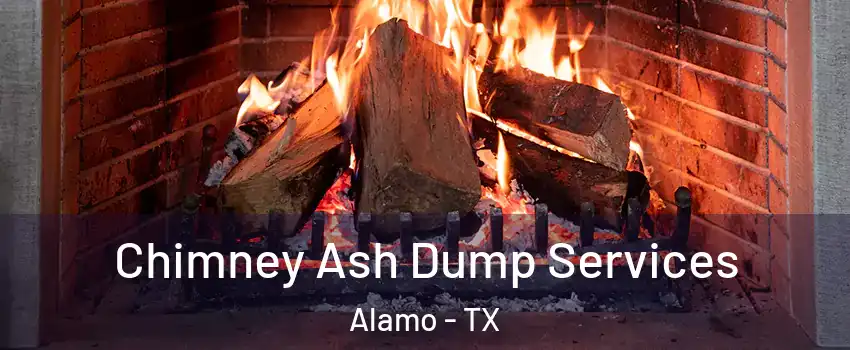  Chimney Ash Dump Services Alamo - TX