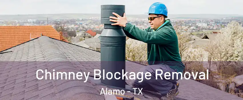  Chimney Blockage Removal Alamo - TX