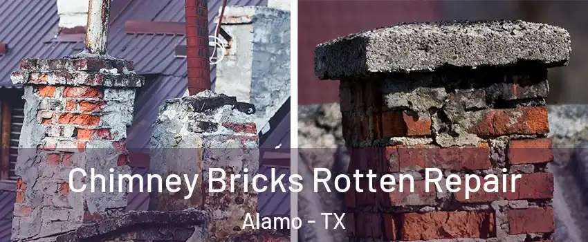  Chimney Bricks Rotten Repair Alamo - TX