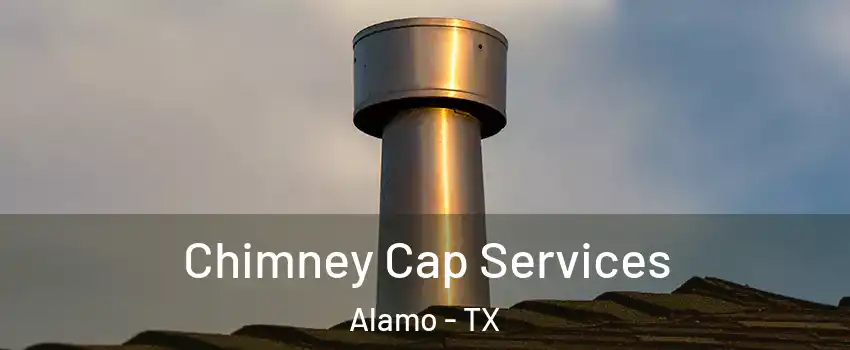  Chimney Cap Services Alamo - TX