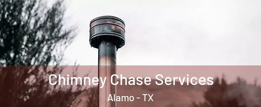  Chimney Chase Services Alamo - TX