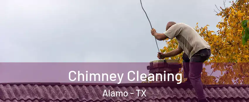  Chimney Cleaning Alamo - TX