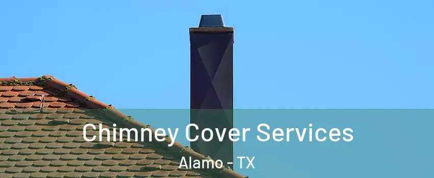  Chimney Cover Services Alamo - TX