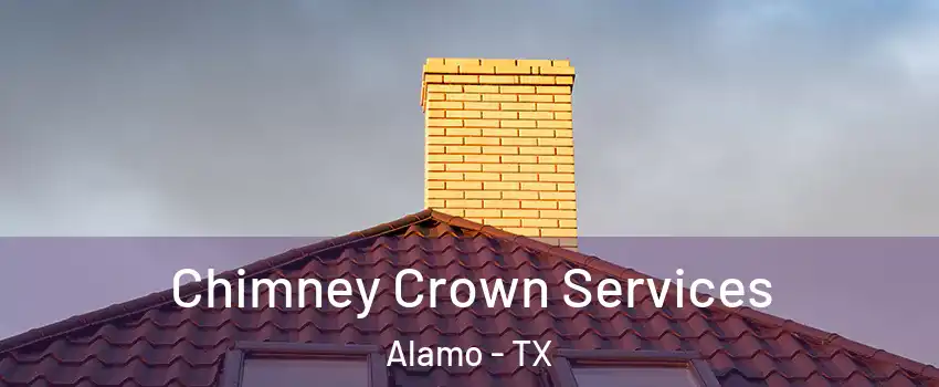  Chimney Crown Services Alamo - TX