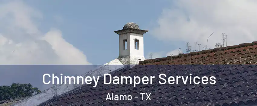 Chimney Damper Services Alamo - TX