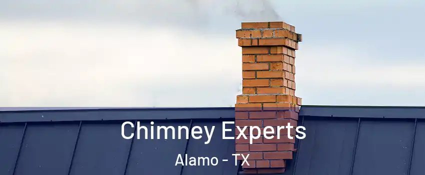 Chimney Experts Alamo - TX