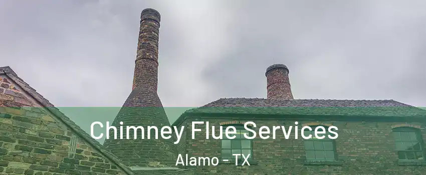 Chimney Flue Services Alamo - TX