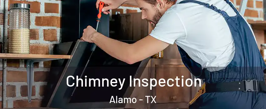  Chimney Inspection Alamo - TX