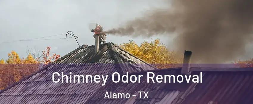  Chimney Odor Removal Alamo - TX
