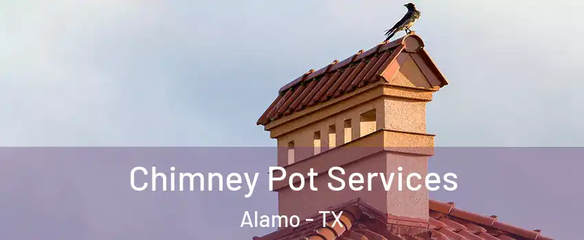  Chimney Pot Services Alamo - TX