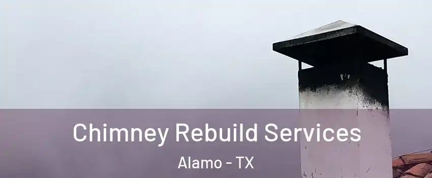  Chimney Rebuild Services Alamo - TX