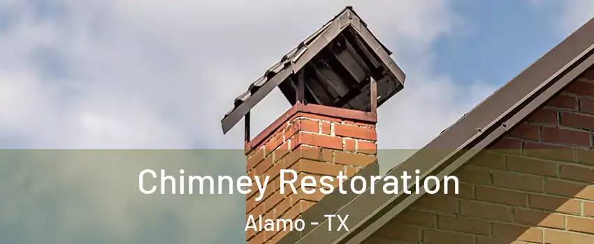  Chimney Restoration Alamo - TX