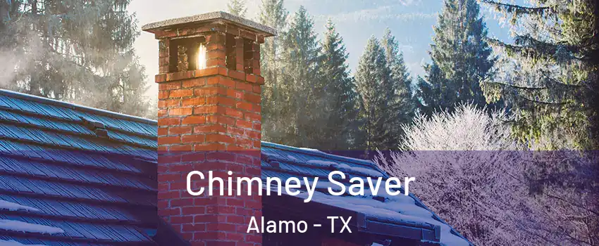  Chimney Saver Alamo - TX