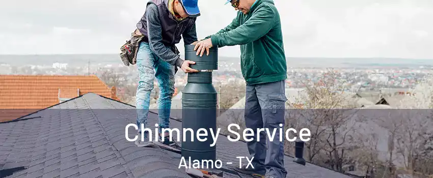  Chimney Service Alamo - TX