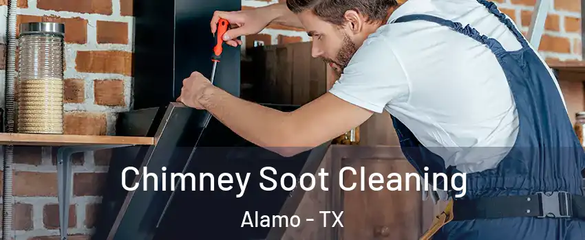  Chimney Soot Cleaning Alamo - TX
