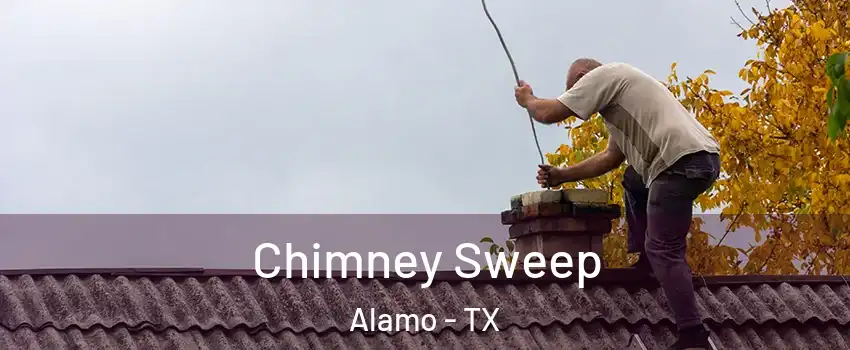  Chimney Sweep Alamo - TX