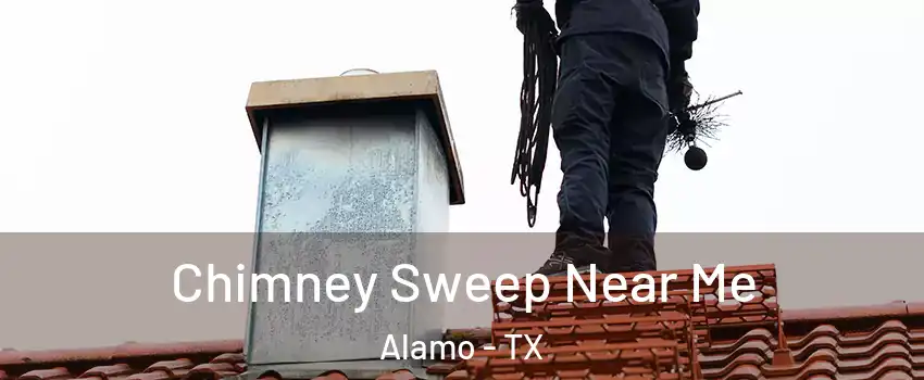  Chimney Sweep Near Me Alamo - TX