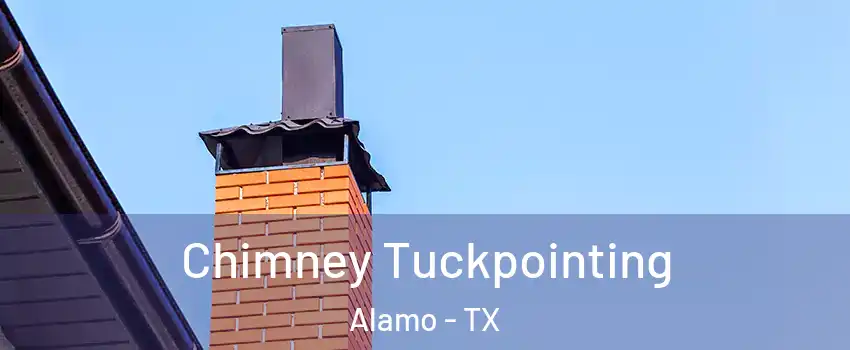  Chimney Tuckpointing Alamo - TX