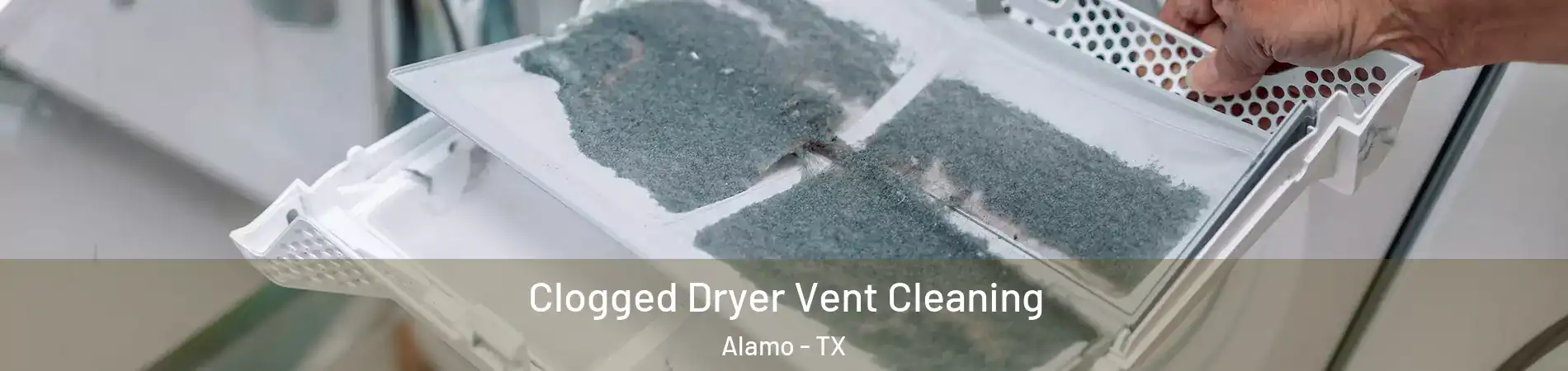 Clogged Dryer Vent Cleaning Alamo - TX