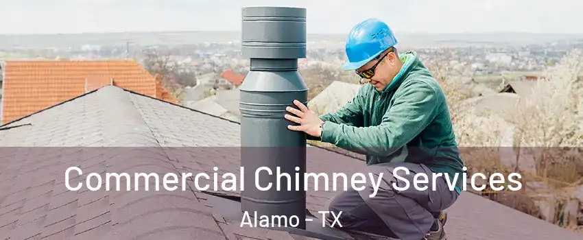  Commercial Chimney Services Alamo - TX