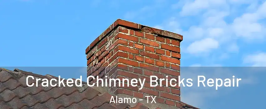  Cracked Chimney Bricks Repair Alamo - TX