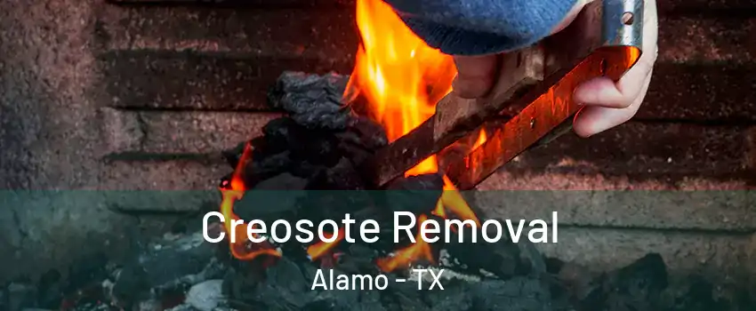  Creosote Removal Alamo - TX