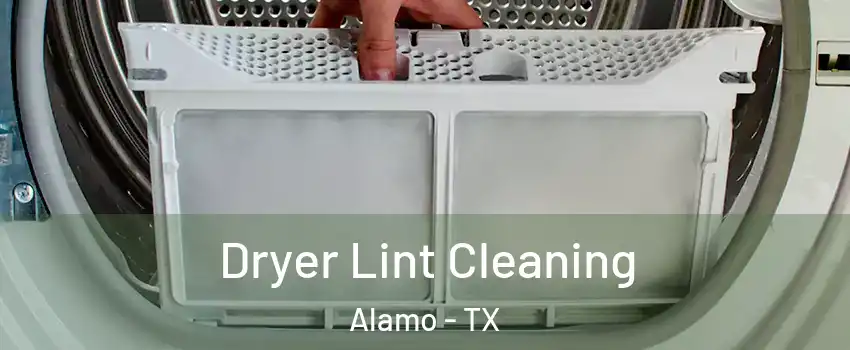  Dryer Lint Cleaning Alamo - TX