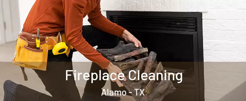  Fireplace Cleaning Alamo - TX