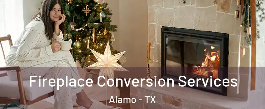  Fireplace Conversion Services Alamo - TX