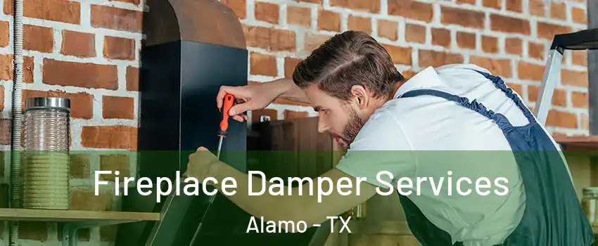  Fireplace Damper Services Alamo - TX