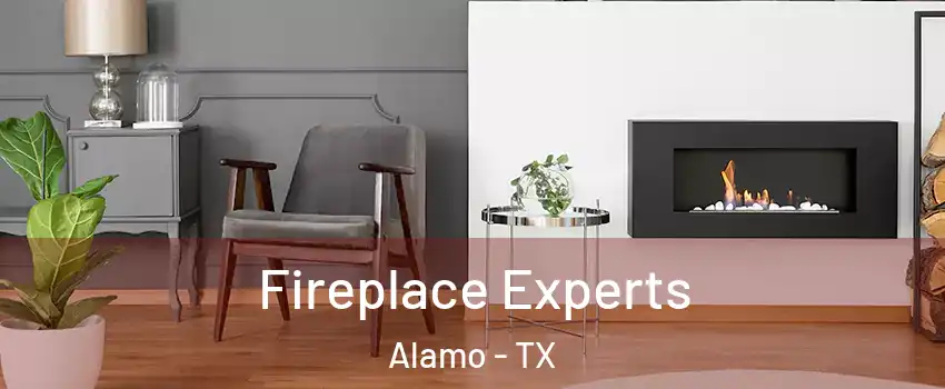  Fireplace Experts Alamo - TX