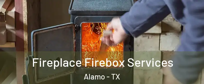  Fireplace Firebox Services Alamo - TX