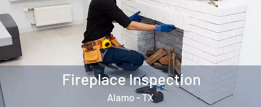  Fireplace Inspection Alamo - TX