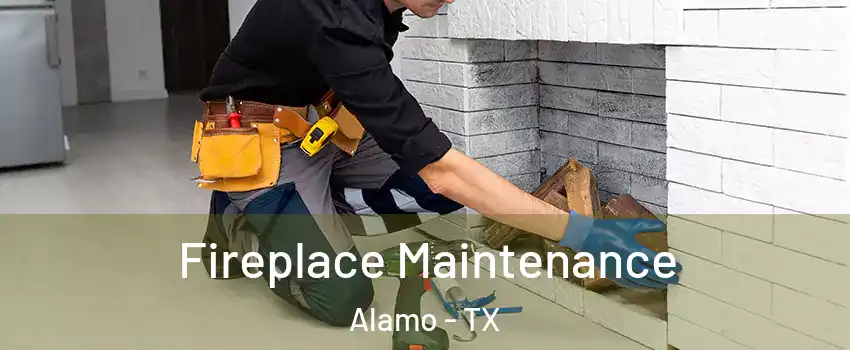  Fireplace Maintenance Alamo - TX