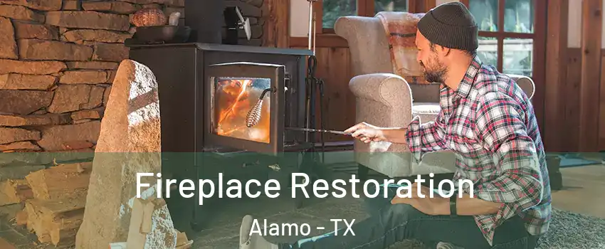  Fireplace Restoration Alamo - TX