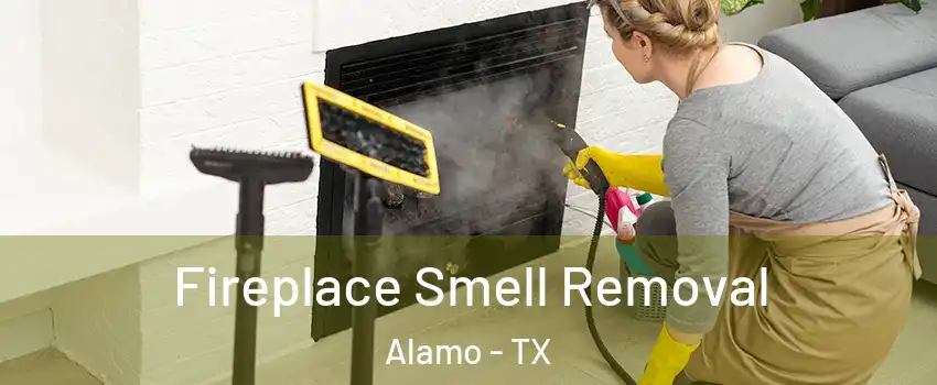  Fireplace Smell Removal Alamo - TX