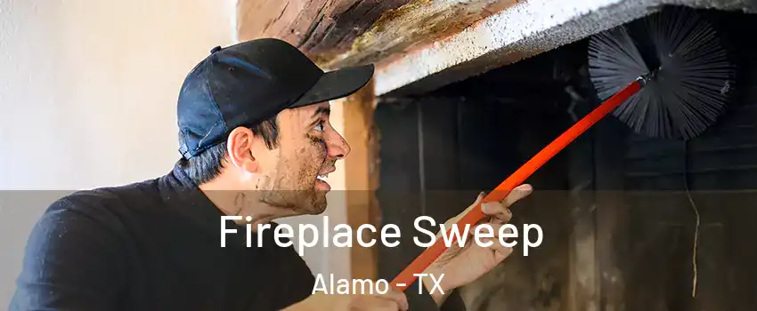  Fireplace Sweep Alamo - TX