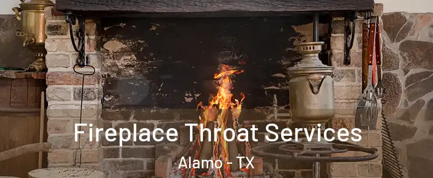  Fireplace Throat Services Alamo - TX