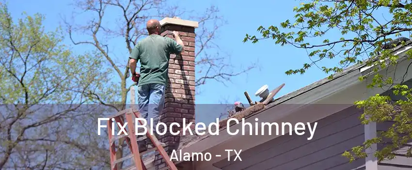  Fix Blocked Chimney Alamo - TX