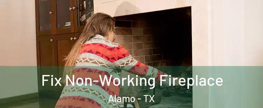  Fix Non-Working Fireplace Alamo - TX