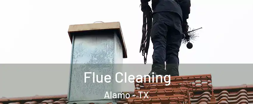  Flue Cleaning Alamo - TX