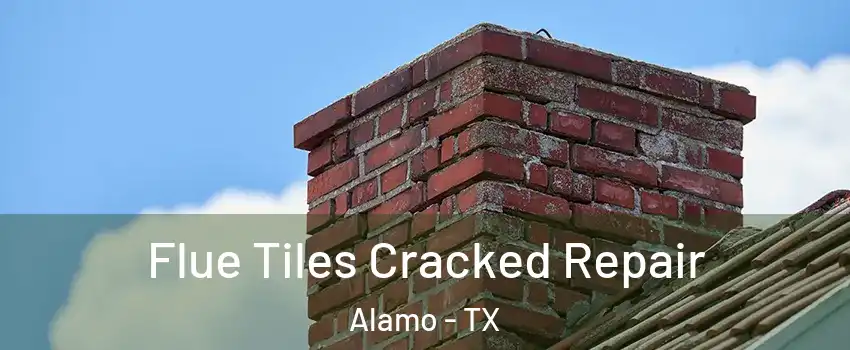  Flue Tiles Cracked Repair Alamo - TX