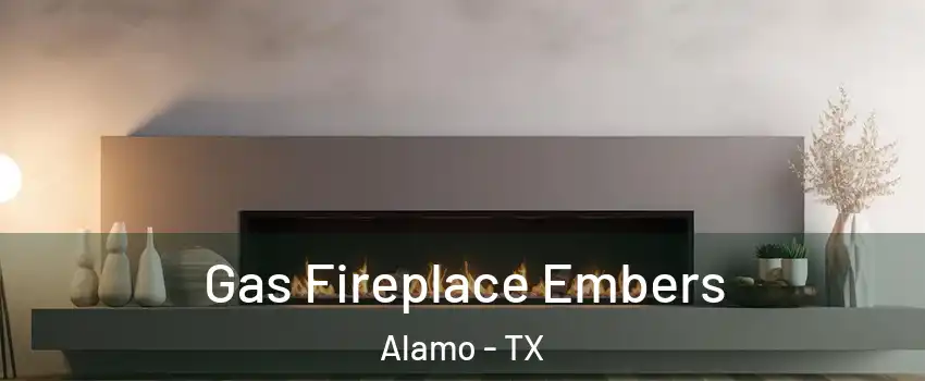  Gas Fireplace Embers Alamo - TX
