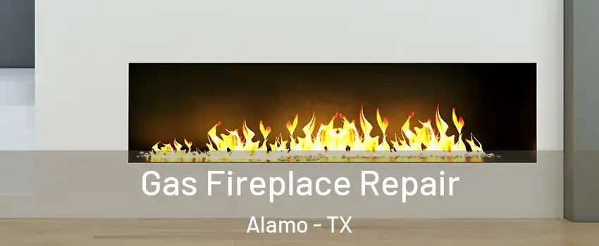  Gas Fireplace Repair Alamo - TX
