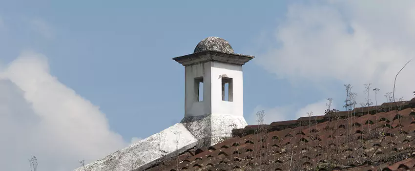 Cost To Rebuild A Chimney in Alamo, TX