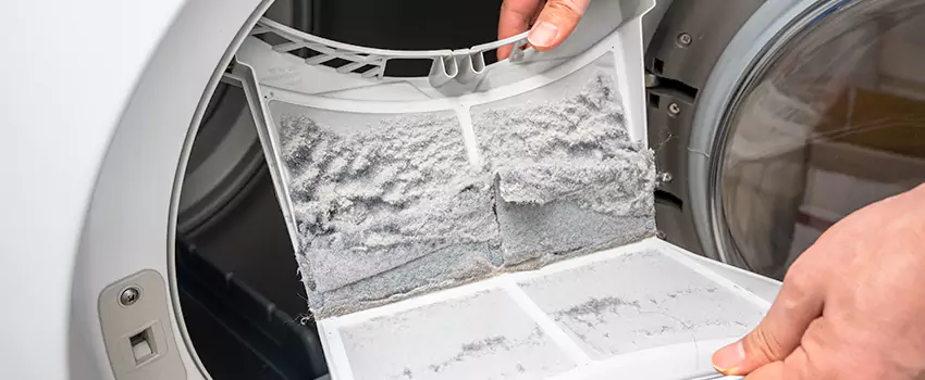 Best Dryer Lint Removal Company in Alamo, Texas
