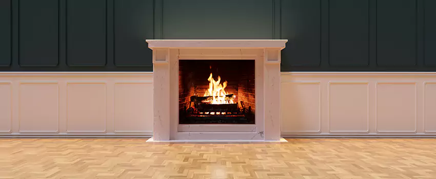 Napoleon Electric Fireplaces Inspection Service in Alamo, Texas