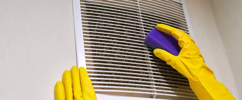 Vent Cleaning Company in Alamo, TX